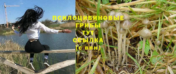 бутират Верхний Тагил