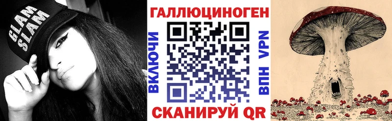 OMG как войти  Владикавказ  Псилоцибиновые грибы Psilocybine cubensis  закладки 