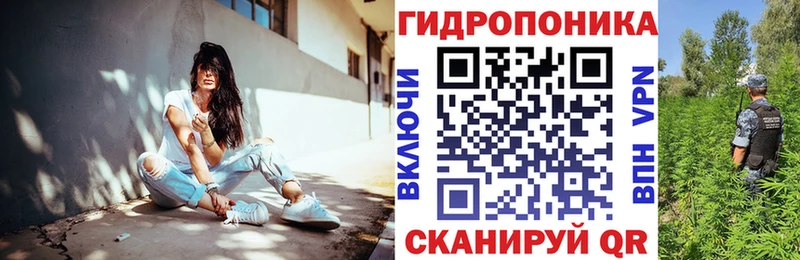 hydra как войти  Владикавказ  Марихуана ГИДРОПОН 